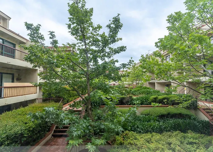 2Br Apartment Close To Glebe Park And Canberra City - Hosted By Canstay